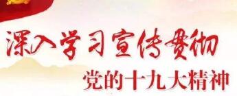 以十九大精神為指引 奮力書寫新時代黨建工作新篇章